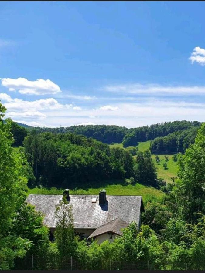 Odenwald-Lodge Mit Infrarotsauna Und E-Ladestation Im Naturpark Odenwald "Haus Himmelblau" Reichelsheim Экстерьер фото