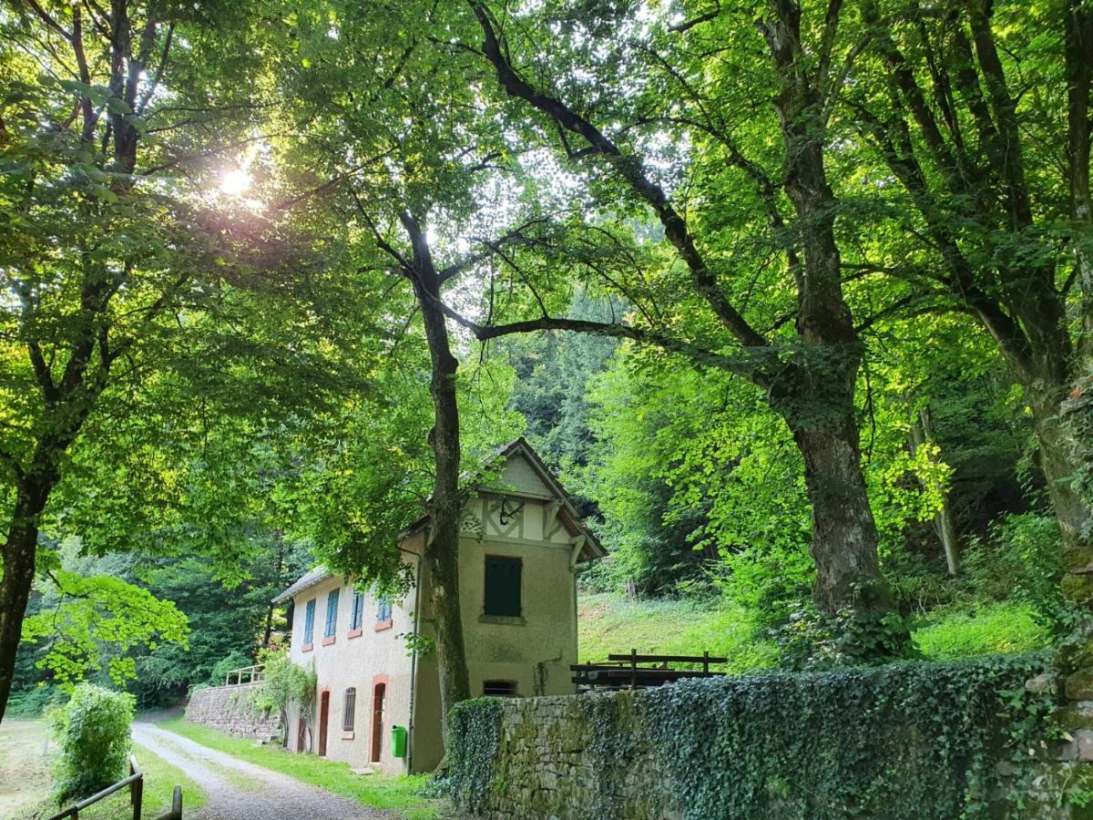 Odenwald-Lodge Mit Infrarotsauna Und E-Ladestation Im Naturpark Odenwald "Haus Himmelblau" Reichelsheim Экстерьер фото