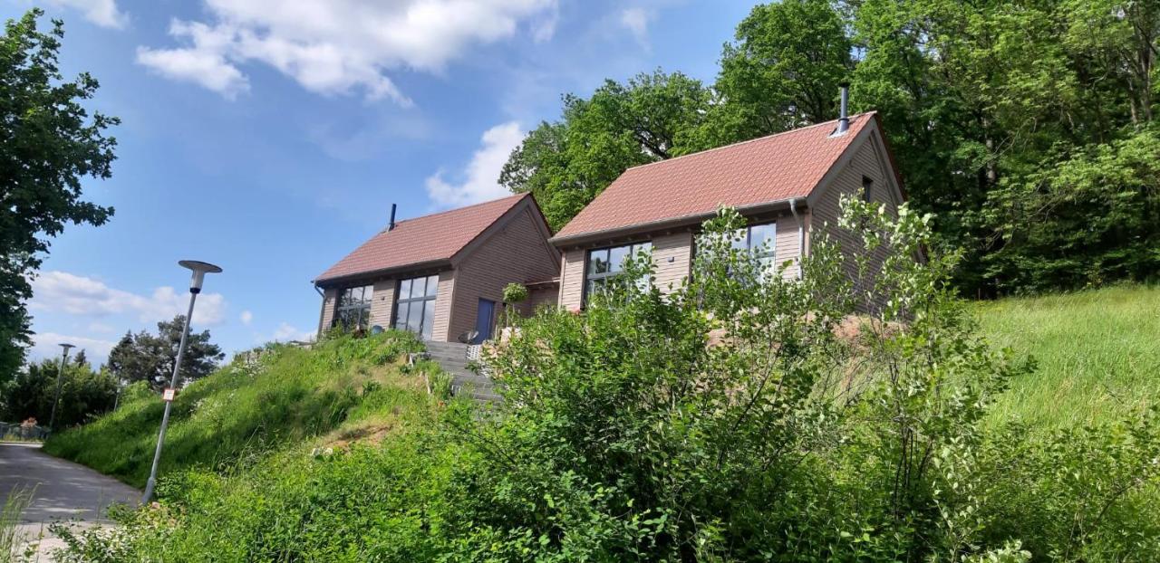 Odenwald-Lodge Mit Infrarotsauna Und E-Ladestation Im Naturpark Odenwald "Haus Himmelblau" Reichelsheim Экстерьер фото