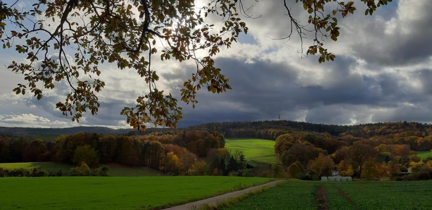 Odenwald-Lodge Mit Infrarotsauna Und E-Ladestation Im Naturpark Odenwald "Haus Himmelblau" Reichelsheim Экстерьер фото