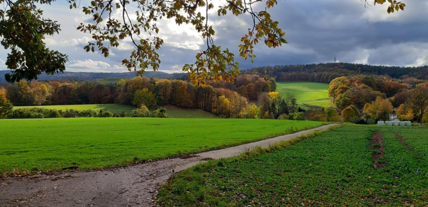 Odenwald-Lodge Mit Infrarotsauna Und E-Ladestation Im Naturpark Odenwald "Haus Himmelblau" Reichelsheim Экстерьер фото